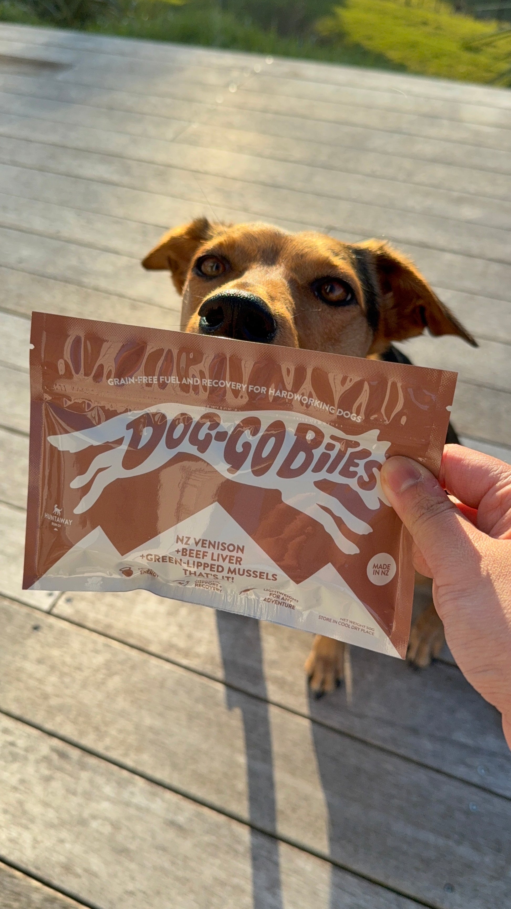 Huntaway Run Co. Dog-Go Bites!
