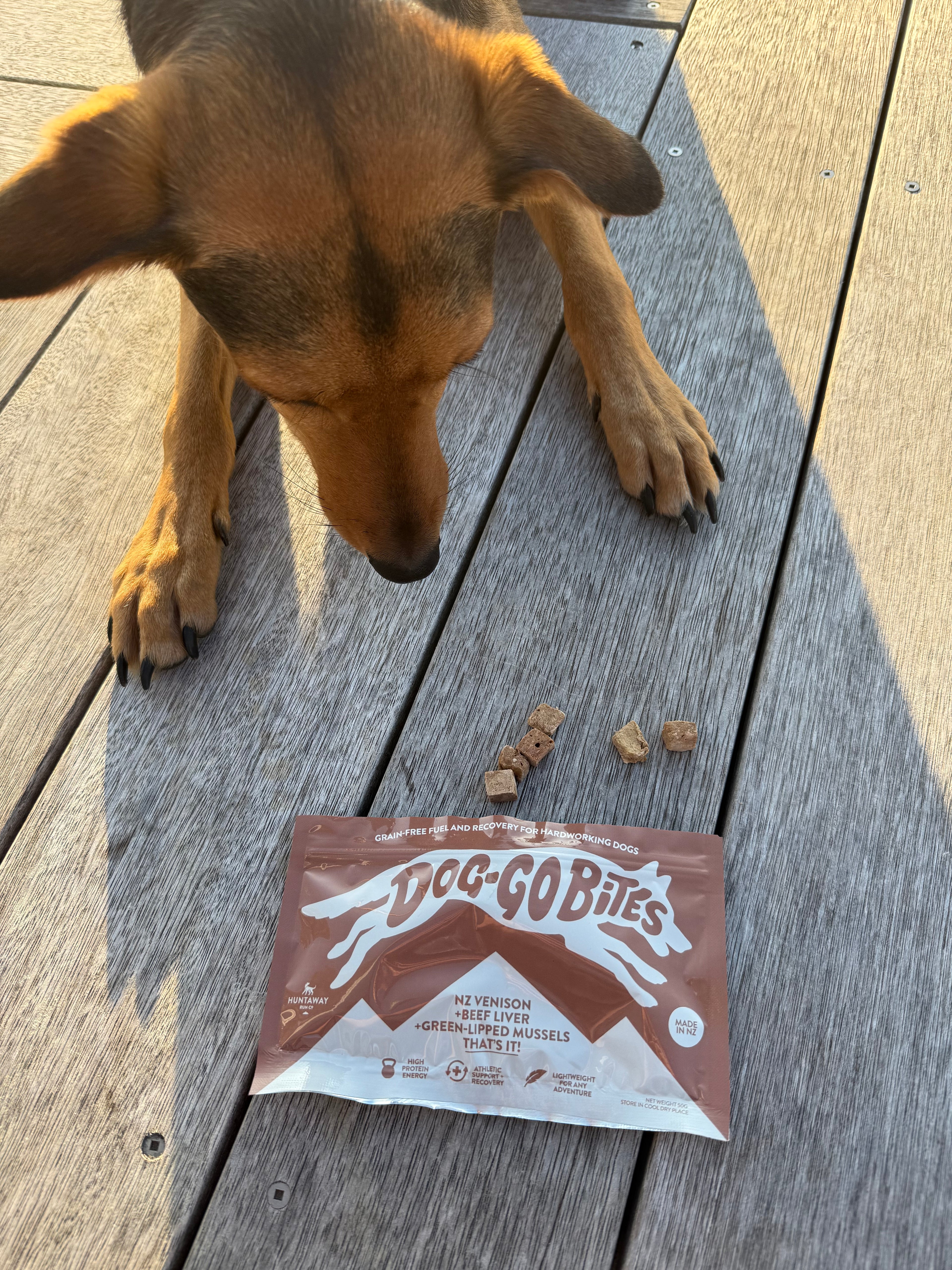 Huntaway Run Co. Dog-Go Bites!